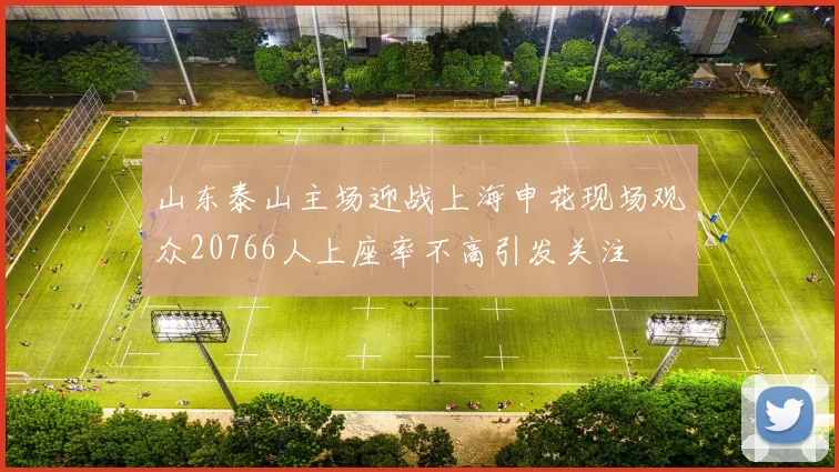 山东泰山主场迎战上海申花现场观众20766人上座率不高引发关注